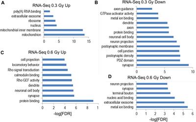 Postsynaptic density radiation signature following space irradiation